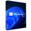 Windows 11 and 10 Pro