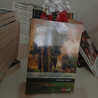 Far From the Madding Crowd
