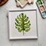 Monstera 