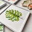 Monstera 