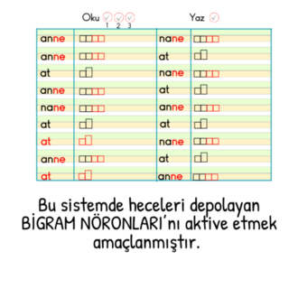 HECE HECE OKUYORUM
