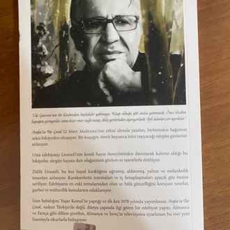Ömer Zülfü Livaneli ARAFTA BİR ÇOCUK 