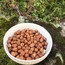 giresun Çiğ findik ( 1 kg)