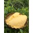 Rize yayık tereyağı (1 KG)
