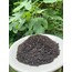 Rize mayıs ayı çayı (1 kg)