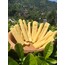 Rize telli peynir(1 kg )