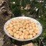 giresun ciftte kavrulmuş findik (1 kg )