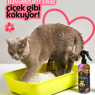 DOKU KEDİ KUMU KOKU GİDERİCİ SPREY