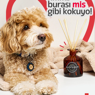 DOKU EVCİL HAYVANLI ORTAMLAR İÇİN ODA KOKUSU ANTİALERJEN