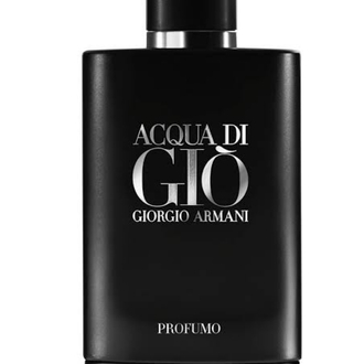 Armani Acqua Di Gio Profumo Parfum EDP (100ML)