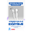 KİNESYOLOJİ EĞİTİMİ
