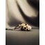 Skeleton King Anahtarlık