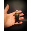 Hank Schrader Mini Figür (Breaking Bad)