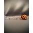 Halloween Pumpkin 02