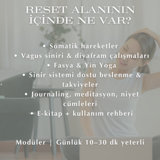 RESET | Sinir Sistemi & Enerji Regülasyonu