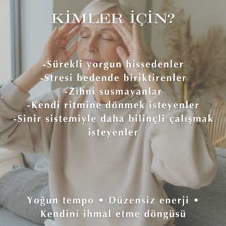RESET | Sinir Sistemi & Enerji Regülasyonu