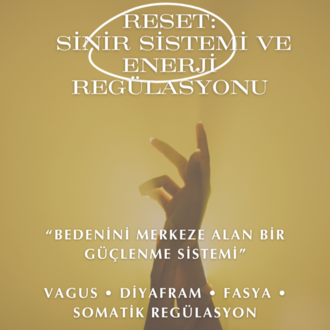 RESET | Sinir Sistemi & Enerji Regülasyonu