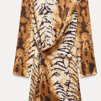 Zara Leopar Elbise