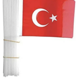 Ormi 20x30 Saplı Kumaş Türk Bayrağı Milli Bayramlar 5 ADET