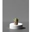 Baby Yoda (Grogu) 3D Modeli