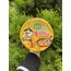 Samyang cheese kase ramen | Son adetler!