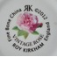 2LI092000000906 Roy Kirkham Vintage Rose Porselen 2'li Standart Çay Fincanı Seti Fine Bone Chin