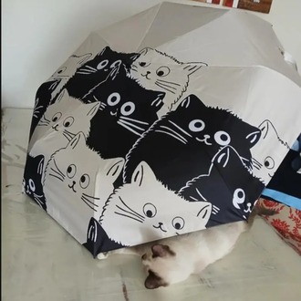 FB67307 Manuel Karikatür Siyah Beyaz Kedi Şemsiye UV Koruma Katlanabilir 1 Adet