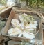 SNS-1285 Karton Kutulu Hasırlı İpli Yıldızlı Sonbahar Yaprak Mum 10x10x3cm 1 Adet