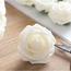 AUX05520 Boutonnieres Merkezleri için İvory Gül W / Sap, DIY 1 adet Yapay Gül Çiçek