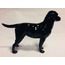CH616 Goebel Siyah Köpek Alman Vintage Labrador Heykelcik Figür Biblo 1968 Koleksiyon 1 Adet