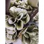 1LF-13500D Düğüm Düğün Çiçeği Yeşil Beyaz 100cm Yapay Decorative 1 Adet