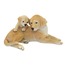 GP-3341 Mey Labrador Köpek Anne Yavru 2'li Oturan Polyresin Dekoratif Obje Biblo 26,7 cm