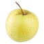 BPH01-3-0112 Yapay Doğal Taze Elma Meyve Orta Botanik Golden Delicious 1 Adet