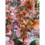 P358.374938 Pembe Çok Dallı Yapay Çiçek 93cm Dekorayon Gerçekçi 1 Adet