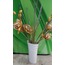 OH127-8721-H Vazo Burgu 37cm Beyaz The Mia Life Concept Çiçeklik 1 Adet