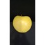 BPH01-3-0112 Yapay Doğal Taze Elma Meyve Orta Botanik Golden Delicious 1 Adet