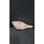A151068 Amoria Exoptanda Volutidae Australia Tarz Kuş Porselen Sanat 11cm 1 Adet