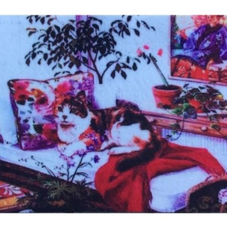 103TRKTRD2050 Home Trendy Kapı Paspas 45x75cm Koltukta Kedi İç Dış Polyester 1 Adet