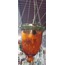 C000F10OI 15x60cm Pirinç Cam Sarkıtmalı Avize Otantik Ev Dekorasyon 1 Adet