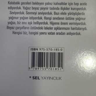 9789755701851 Hijyenik Aşklar Yılmaz Erdoğan 2003 Edebiyat Kurgu Kitap