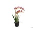 P282.356477 Pembe Yapay Vanda Orkide 61cm Saksılı Çiçek Ev Dekorasyon 1 Adet