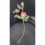 A33-1583 Helleborus Spray x3 22,5inch Fuşya Renk Yapay Çiçek 1 Adet