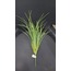 9372000488999 Yapay Bitki 45cm Tillandsia Juncea Dekoratif Gerçekçi 1 Adet