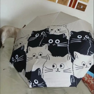 FB67307 Manuel Karikatür Siyah Beyaz Kedi Şemsiye UV Koruma Katlanabilir 1 Adet