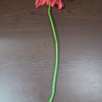 224-1341 Kırmızı Gerbera Yapay Çiçek Tek Dal 25 inç Realistik Dekoratif