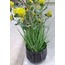 1MR-1740 Grid Chisel Eskitme Siyah Orta Boy Saksı 23,5x21,5cm 1 Adet
