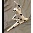 1QD-SD-45A Yoga Dog 20,2x7,2x20cm Dekoratif Köpek Dalmaçyalı Oturmuş 1 Adet