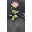 224-065A/PR Yapay Çiçek 52cm Ecquador Rose W/3 Set Of Leaves 1 Adet