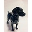 CH616 Goebel Siyah Köpek Alman Vintage Labrador Heykelcik Figür Biblo 1968 Koleksiyon 1 Adet