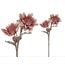 1LF-12750A Günebakan Pembe Beyaz 90cm Decorative Dekoratif 1 Adet